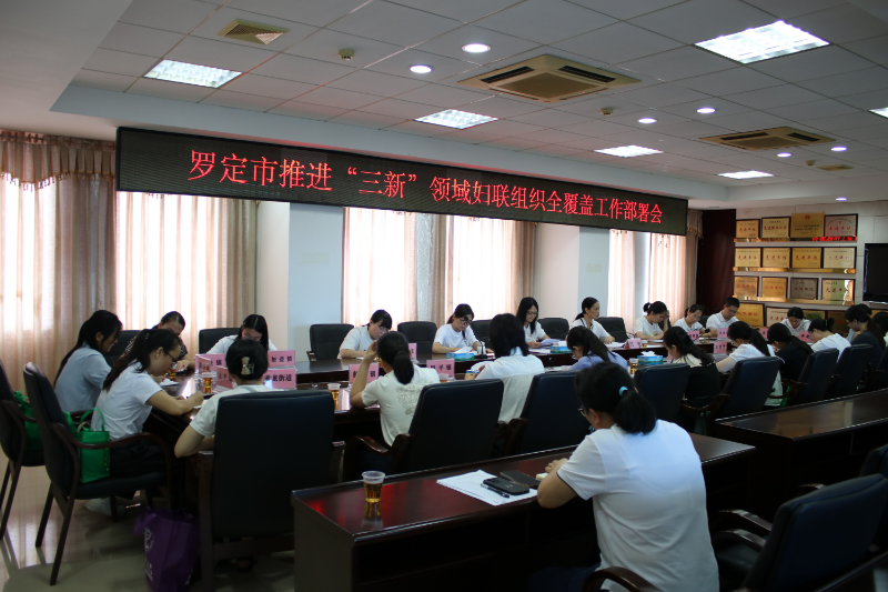 (選1）羅定市推進“三新”領(lǐng)域婦聯(lián)組織全覆蓋工作部署會.JPG