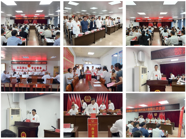 （5-13）人大十八屆八次會議(1)_01_副本.jpg