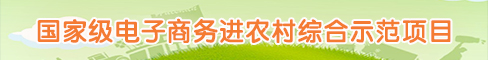 羅定市國家級電子商務進農村綜合示范項目工作專欄